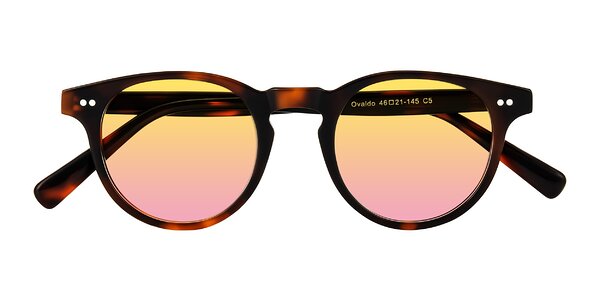Front of Ovaldo in Tortoise