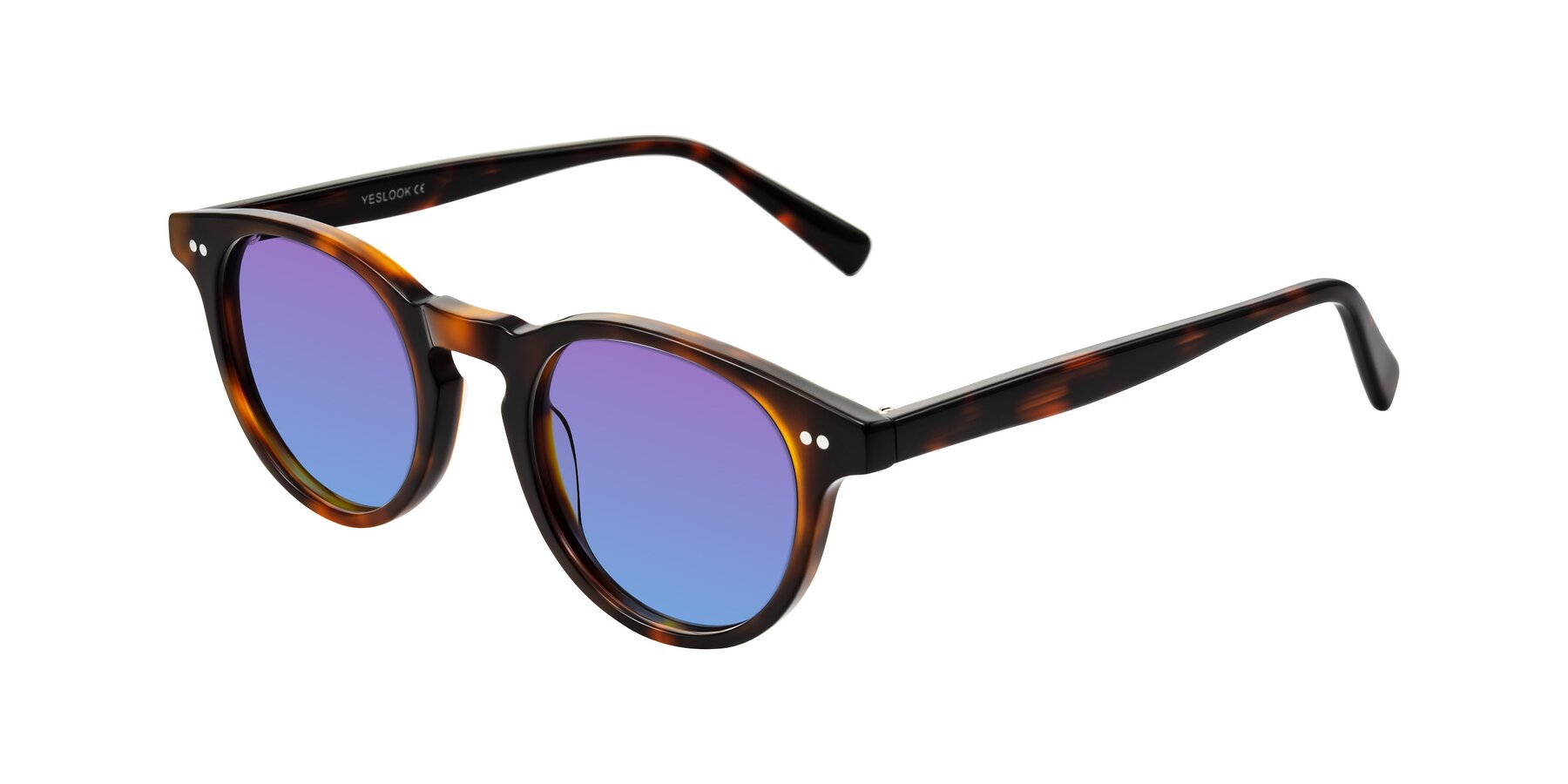 Angle of Ovaldo in Tortoise with Purple / Blue Gradient Lenses