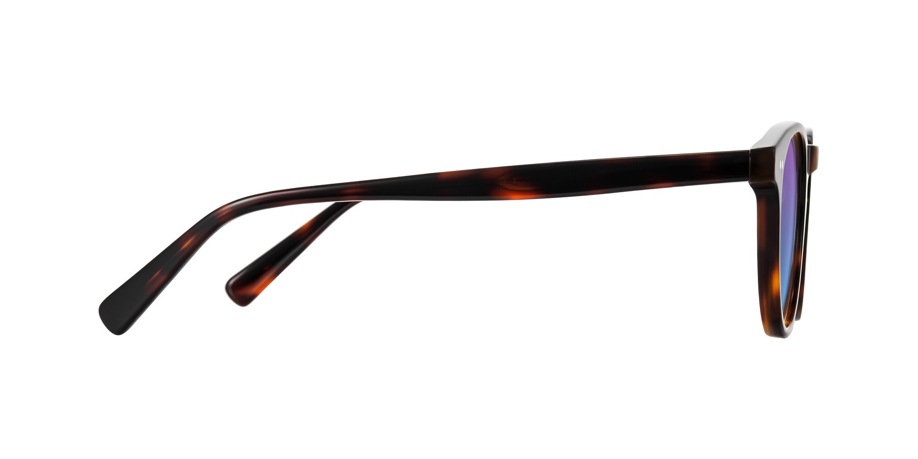 Side of Ovaldo in Tortoise with Purple / Blue Gradient Lenses