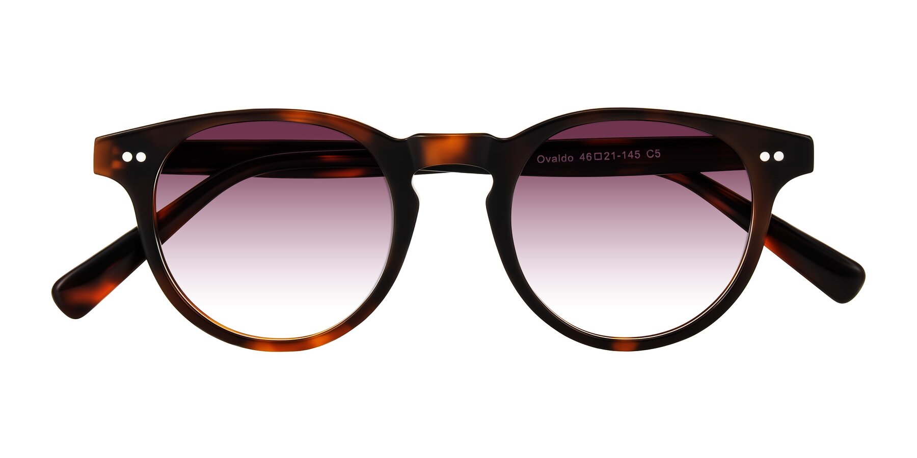 Folded Front of Ovaldo in Tortoise with Wine Gradient Lenses