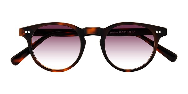 Front of Ovaldo in Tortoise