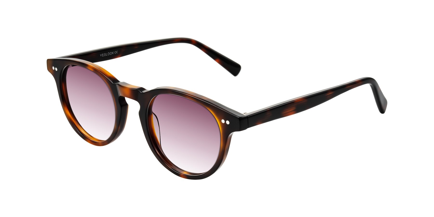 Angle of Ovaldo in Tortoise with Wine Gradient Lenses