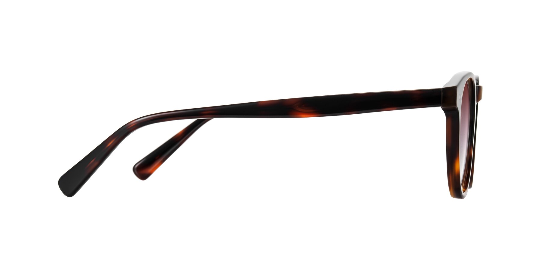Side of Ovaldo in Tortoise with Garnet Gradient Lenses