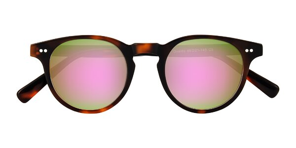 Front of Ovaldo in Tortoise