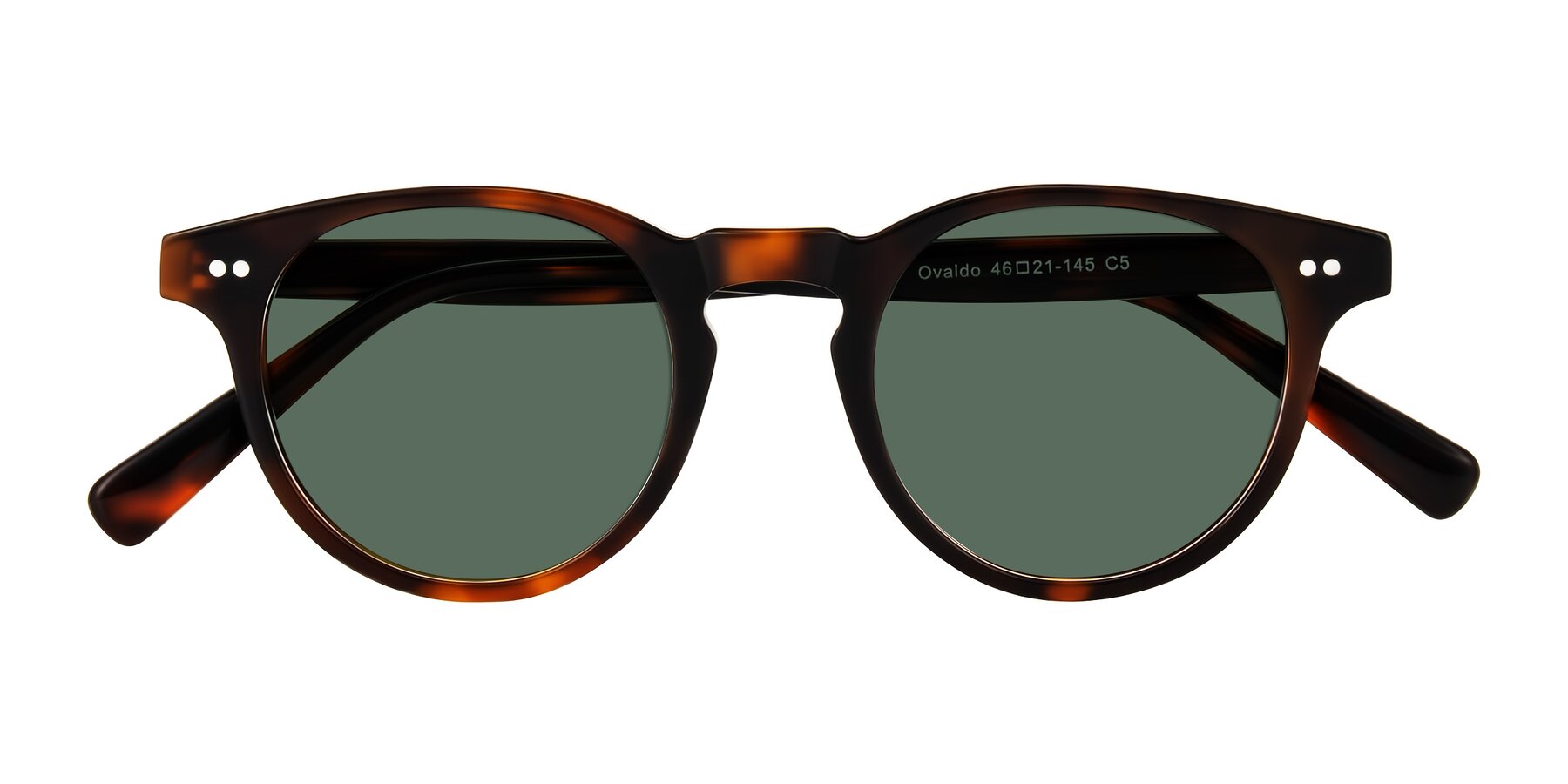 Folded Front of Ovaldo in Tortoise with Green Polarized Lenses