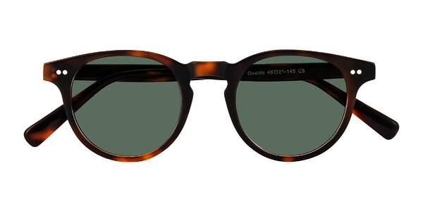 Front of Ovaldo in Tortoise
