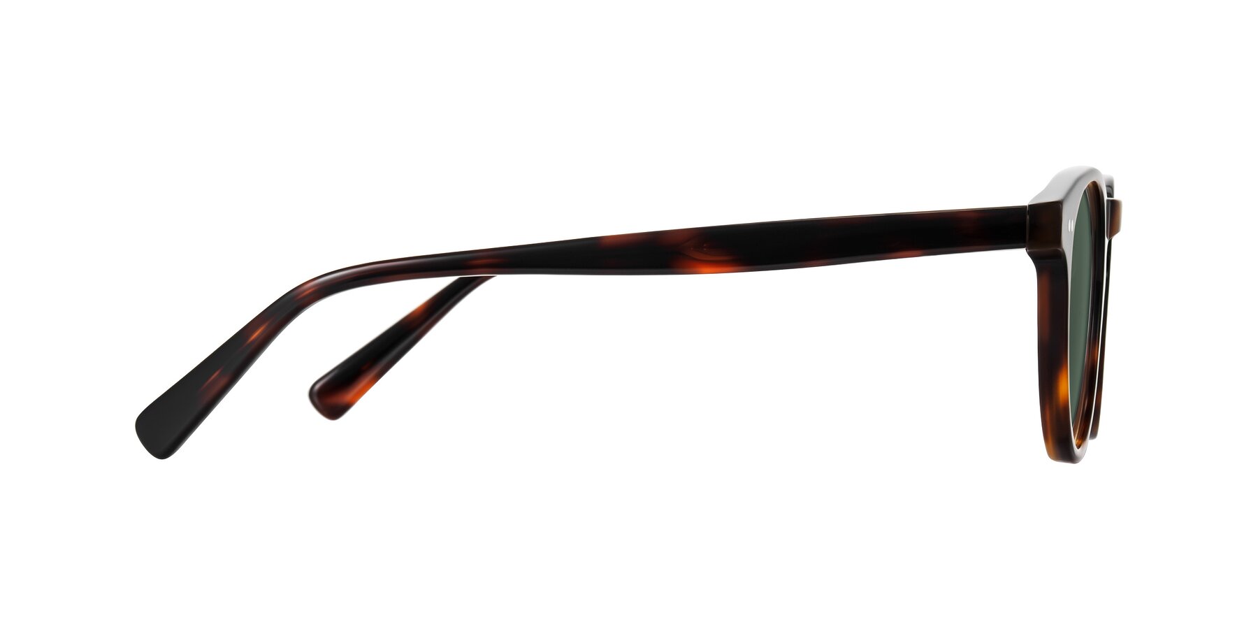 Side of Ovaldo in Tortoise with Green Polarized Lenses