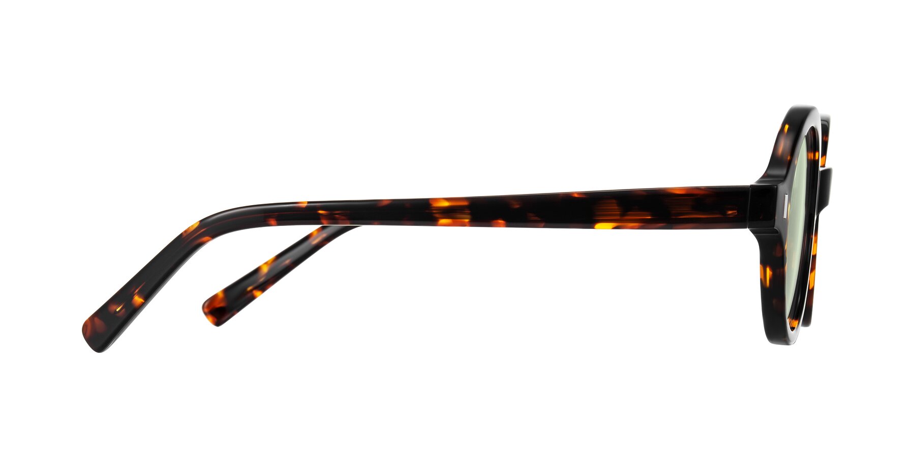 Side of Lozada in Tortoise with Light Green Tinted Lenses