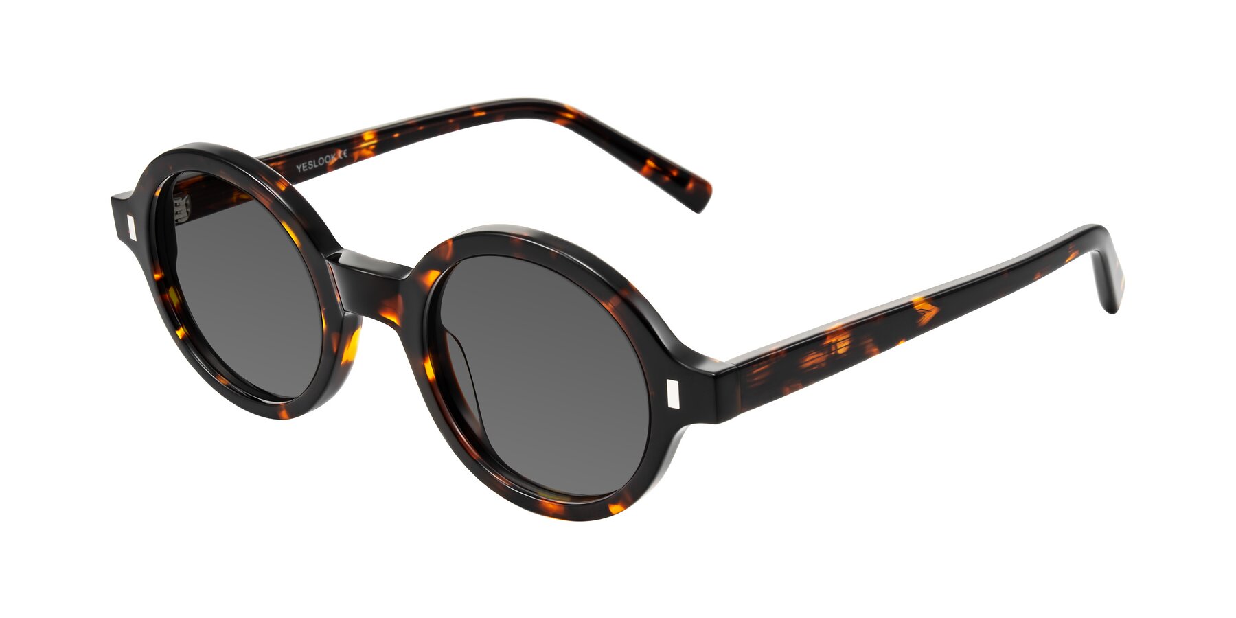 Angle of Lozada in Tortoise with Medium Gray Tinted Lenses