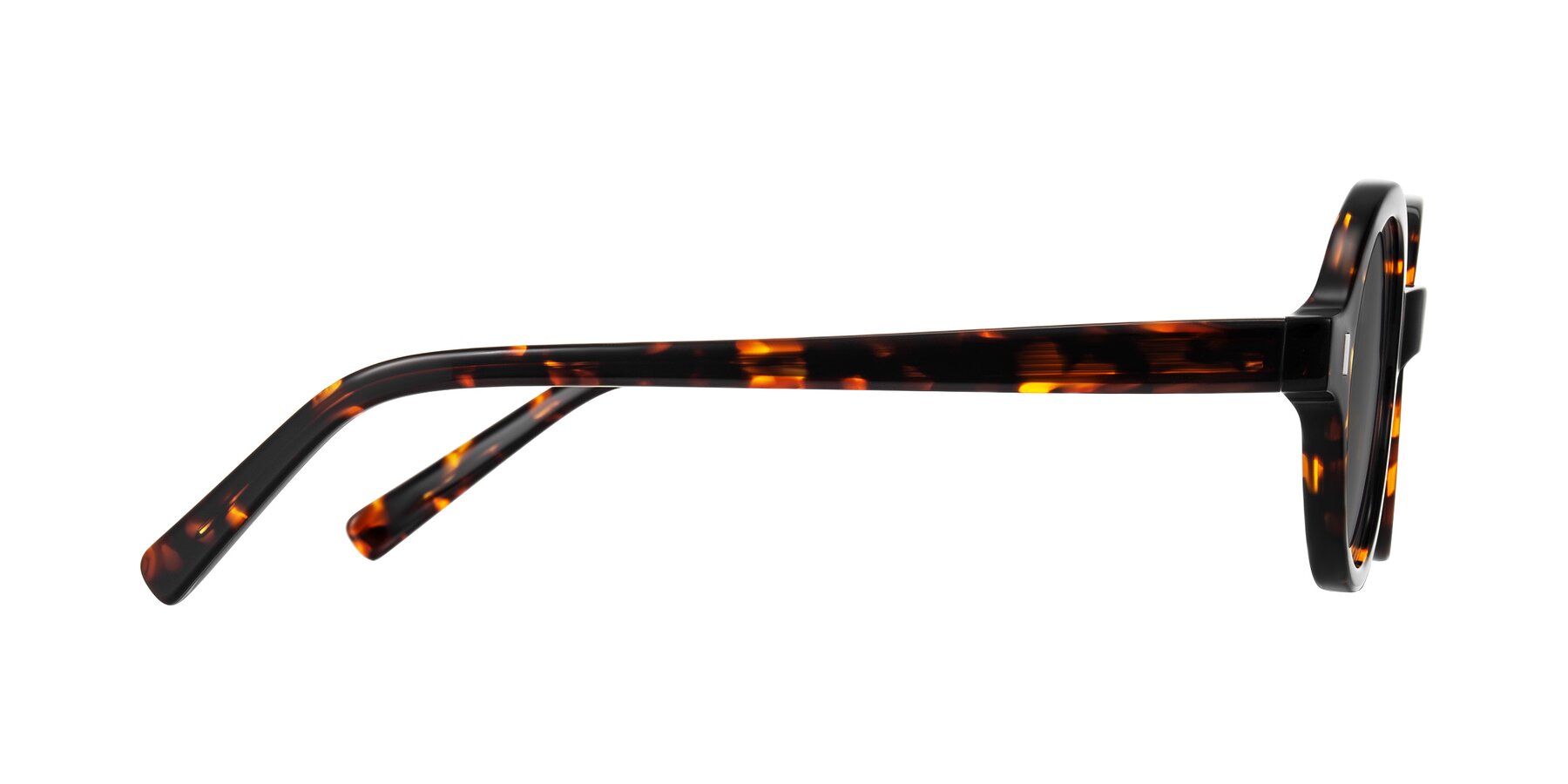 Side of Lozada in Tortoise with Medium Gray Tinted Lenses