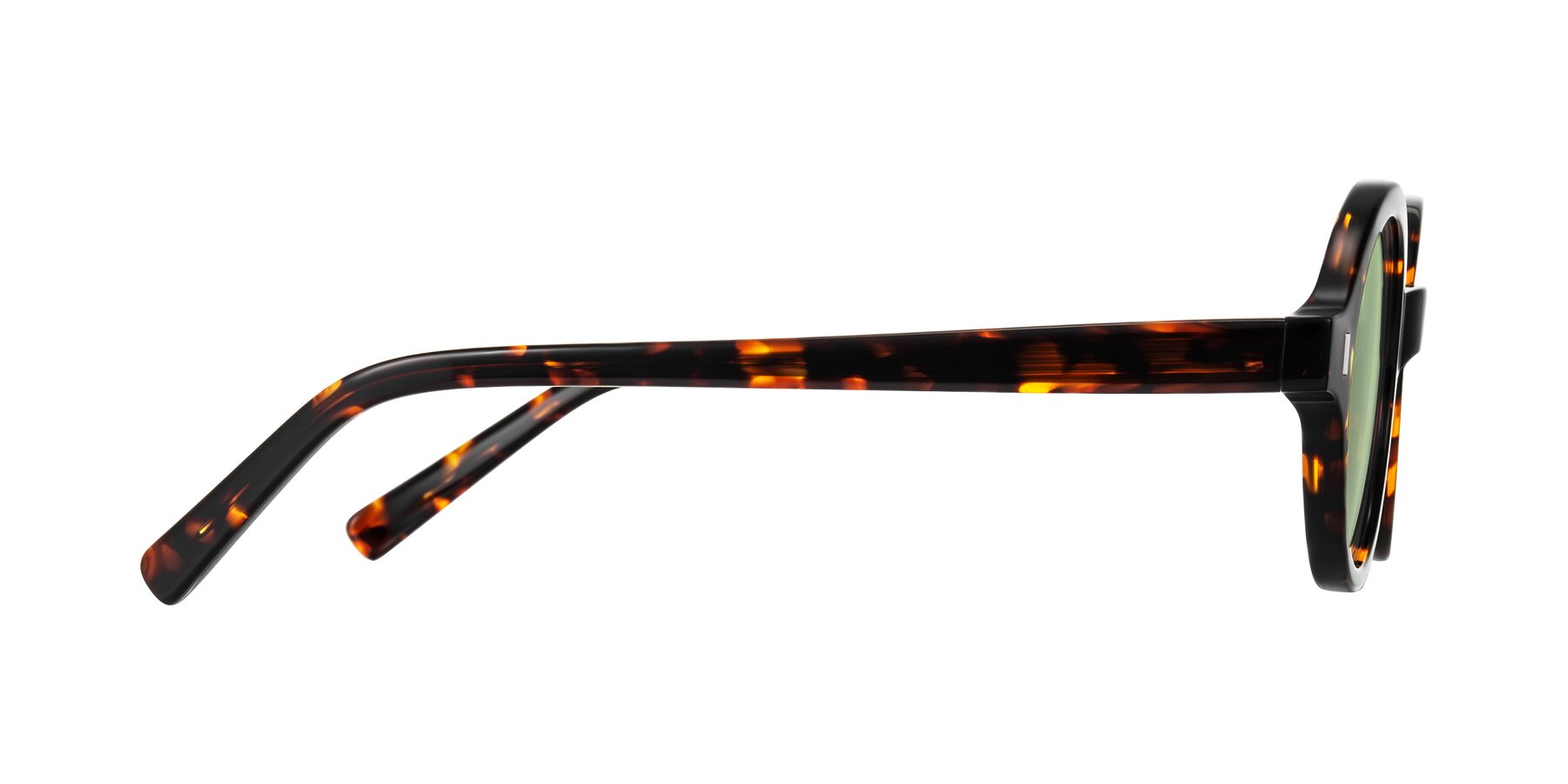 Side of Lozada in Tortoise with Medium Green Tinted Lenses