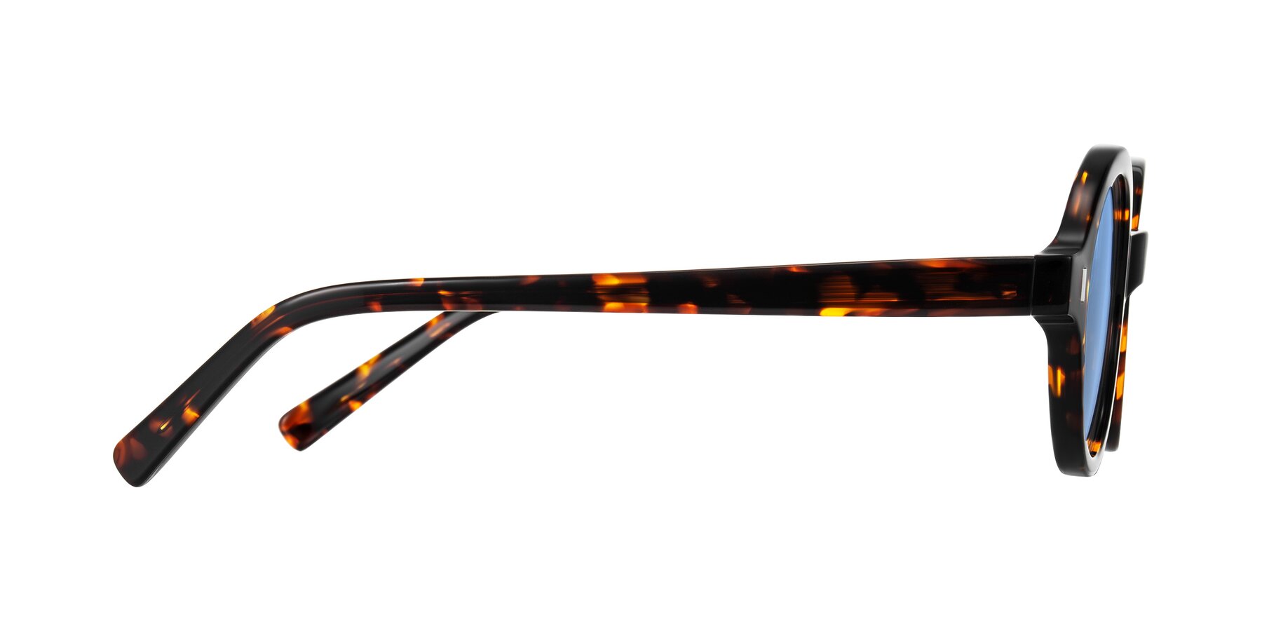 Side of Lozada in Tortoise with Medium Blue Tinted Lenses