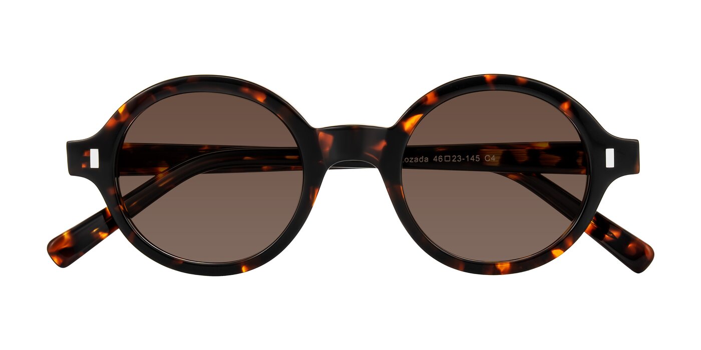 Lozada - Tortoise Tinted Sunglasses