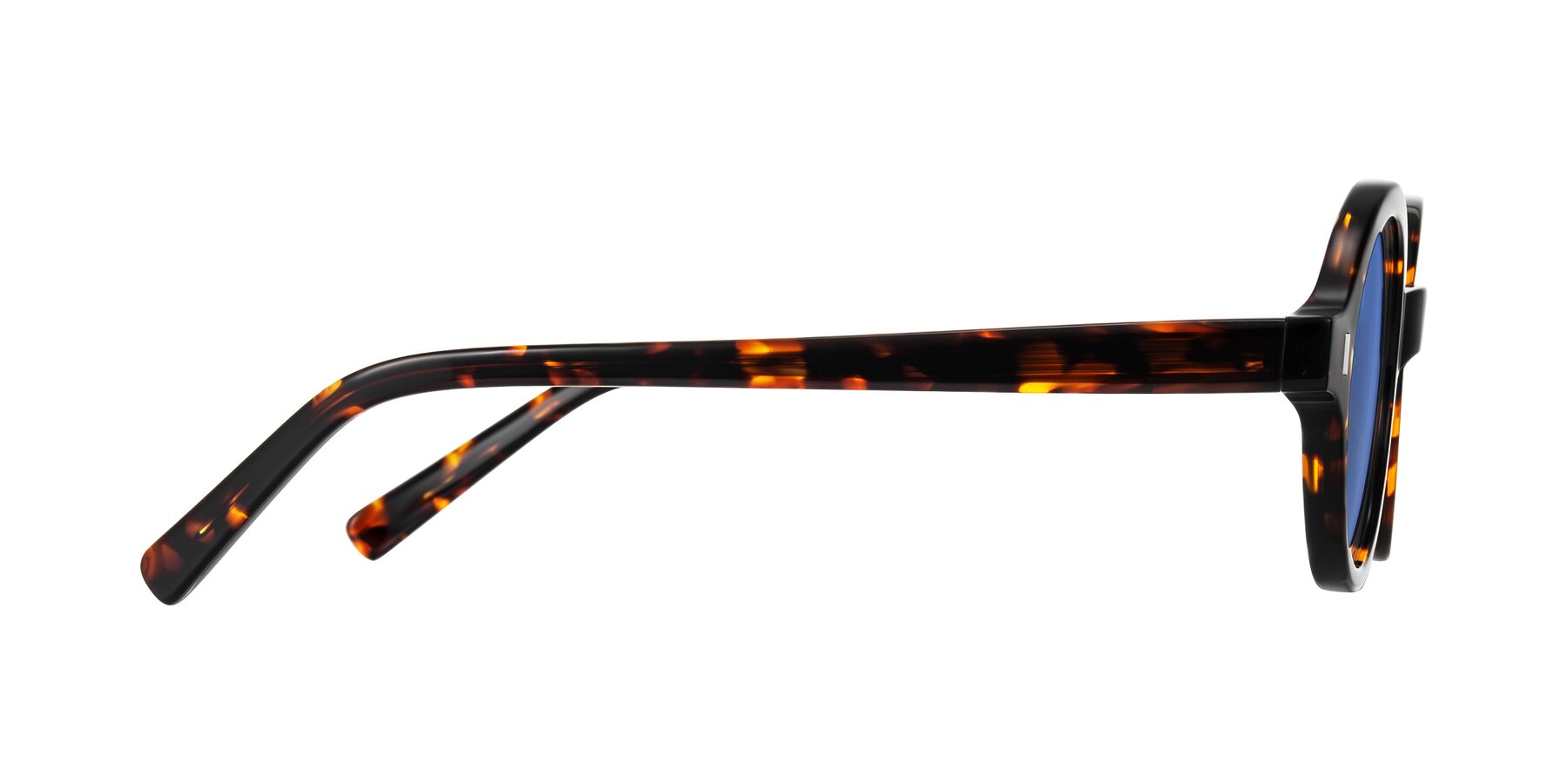 Side of Lozada in Tortoise with Blue Tinted Lenses