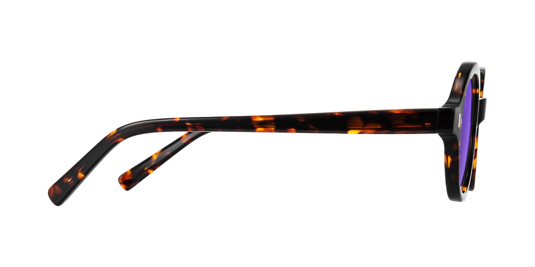 Side of Lozada in Tortoise with Purple Tinted Lenses