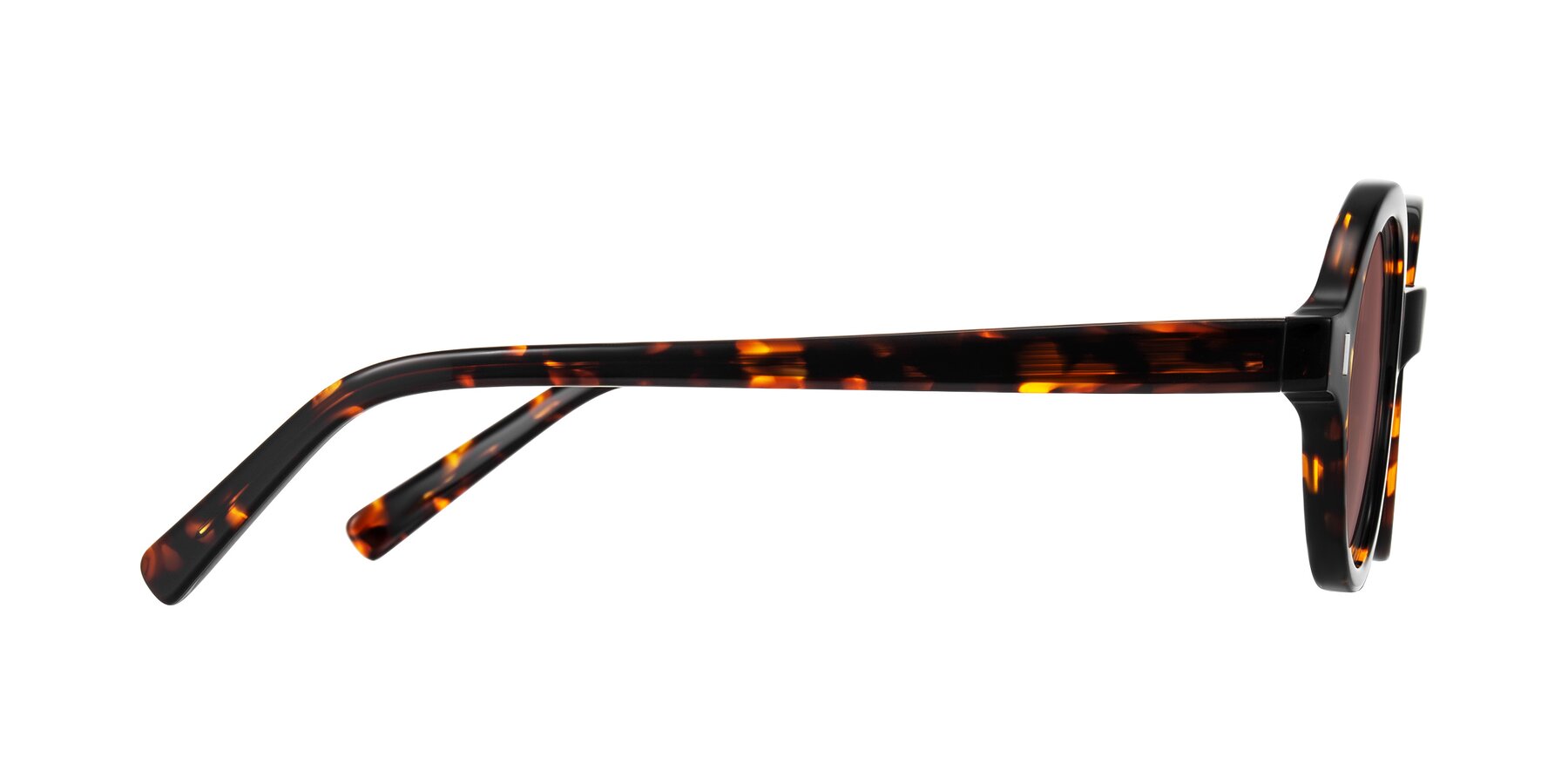Side of Lozada in Tortoise with Garnet Tinted Lenses