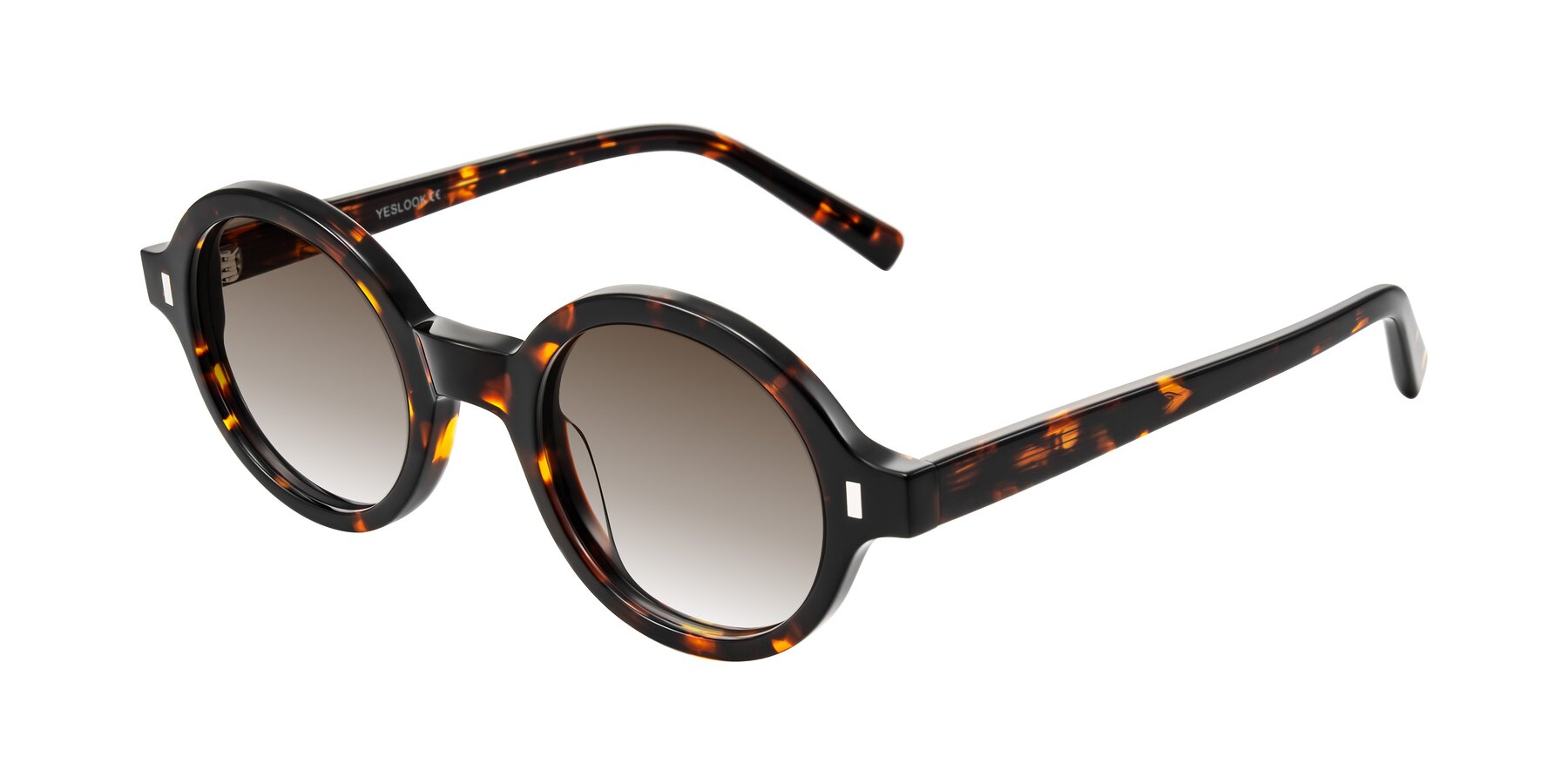 Angle of Lozada in Tortoise with Brown Gradient Lenses