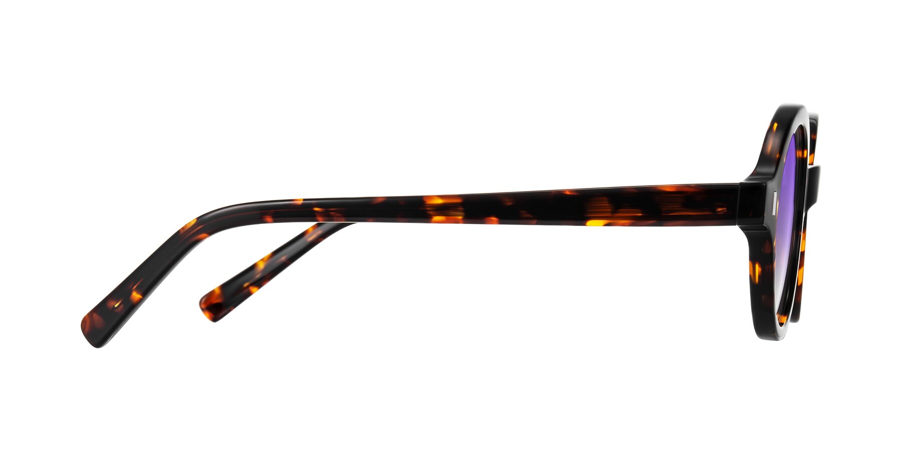 Side of Lozada in Tortoise with Purple Gradient Lenses