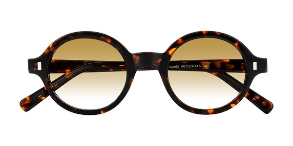 Front of Lozada in Tortoise