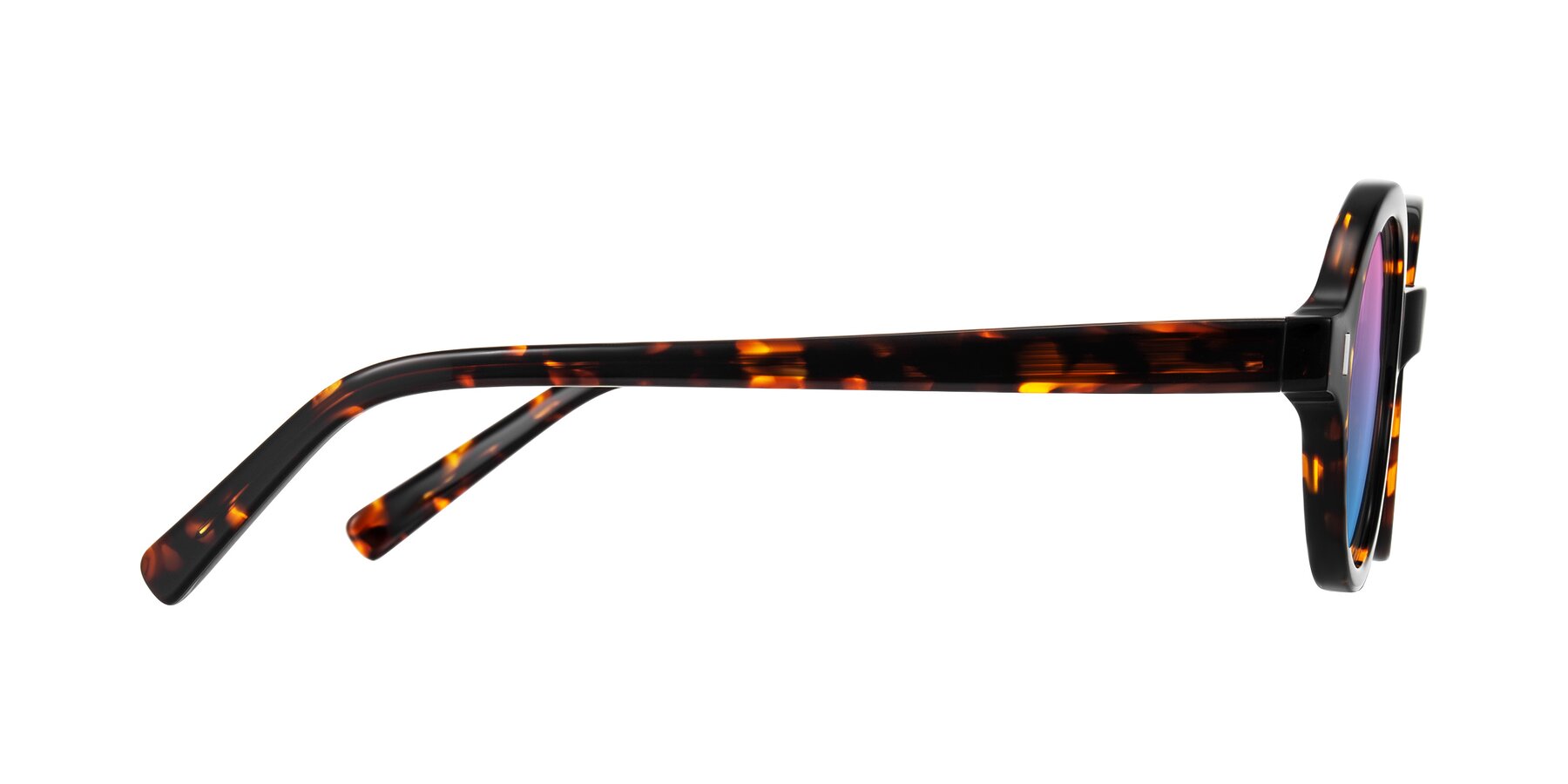 Side of Lozada in Tortoise with Pink / Blue Gradient Lenses