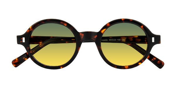 Front of Lozada in Tortoise