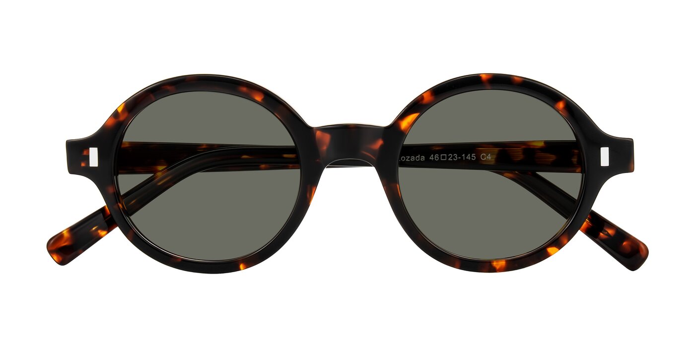 Lozada - Tortoise Polarized Sunglasses