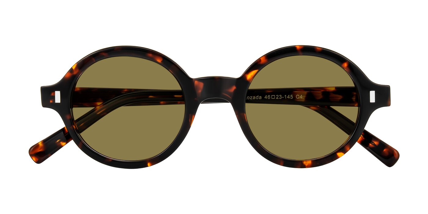 Lozada - Tortoise Polarized Sunglasses