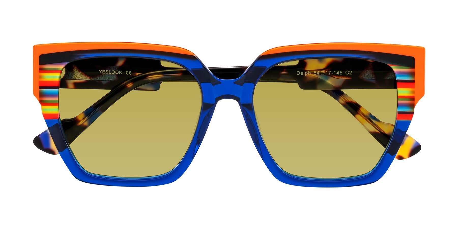 Folded Front of Delph in Cobalt Sprint with Champagne Tinted Lenses