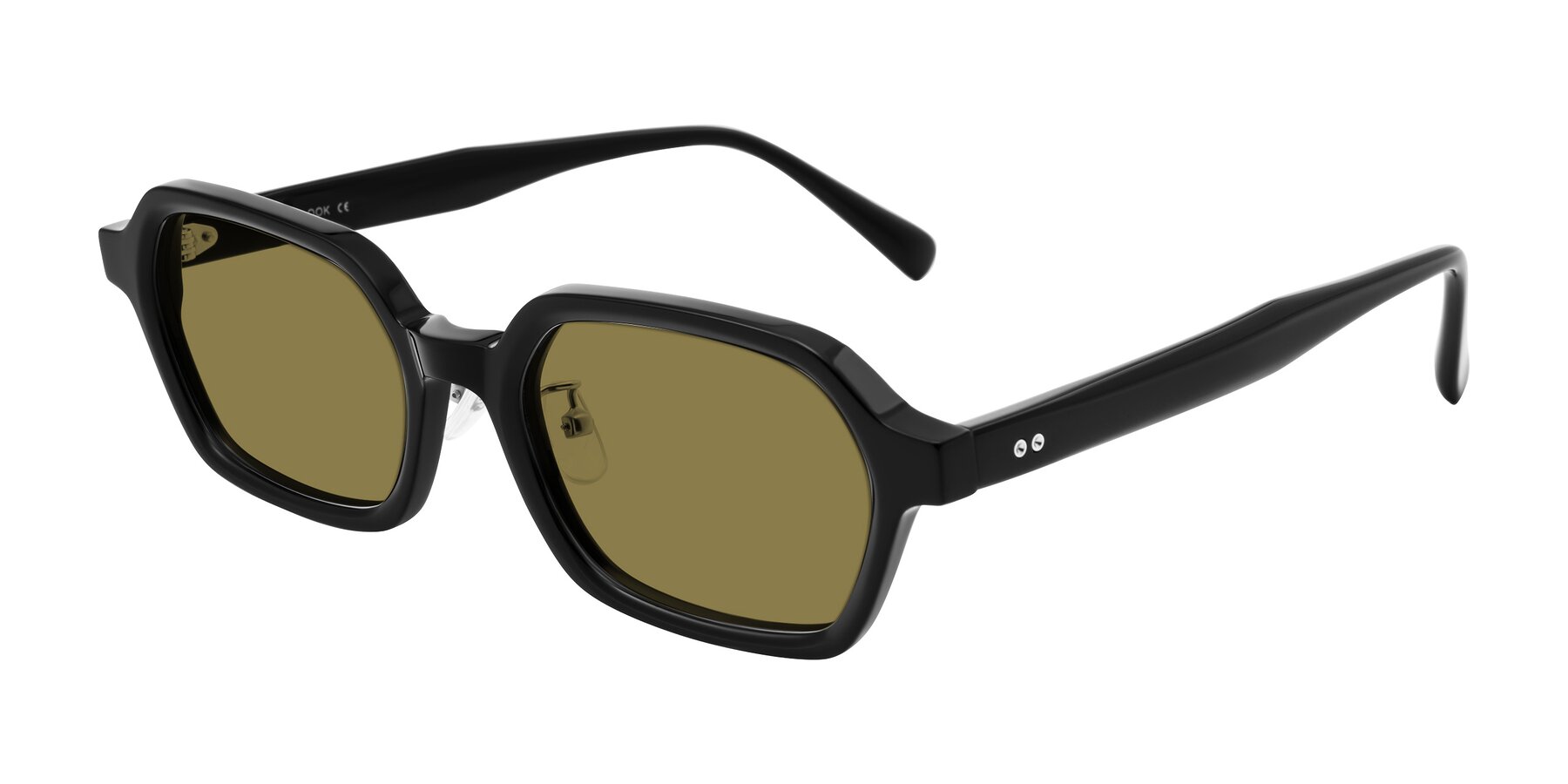 Angle of Hicles in Black with Brown Polarized Lenses