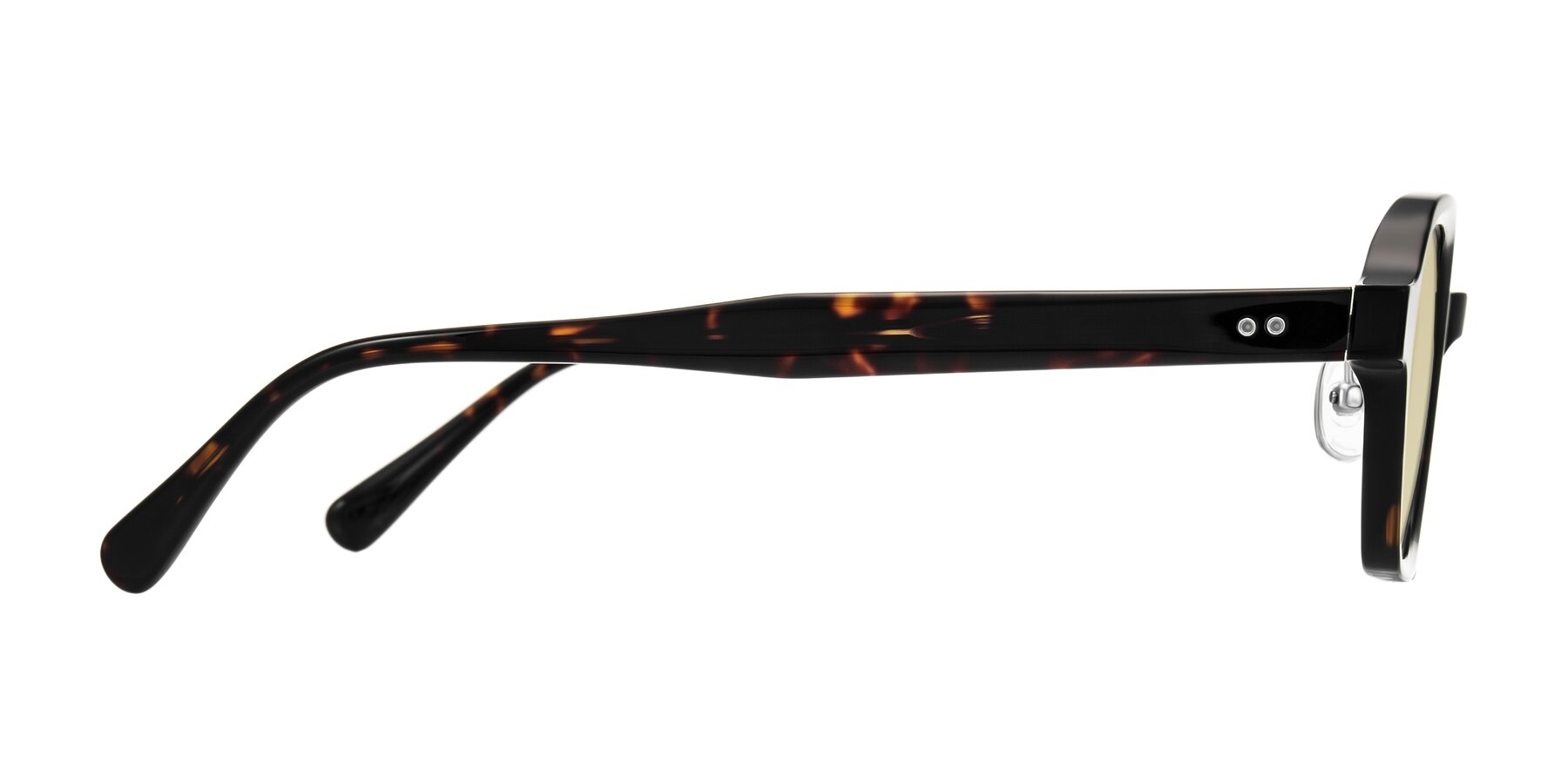 Side of Hicles in Dark Tortoise with Light Champagne Tinted Lenses