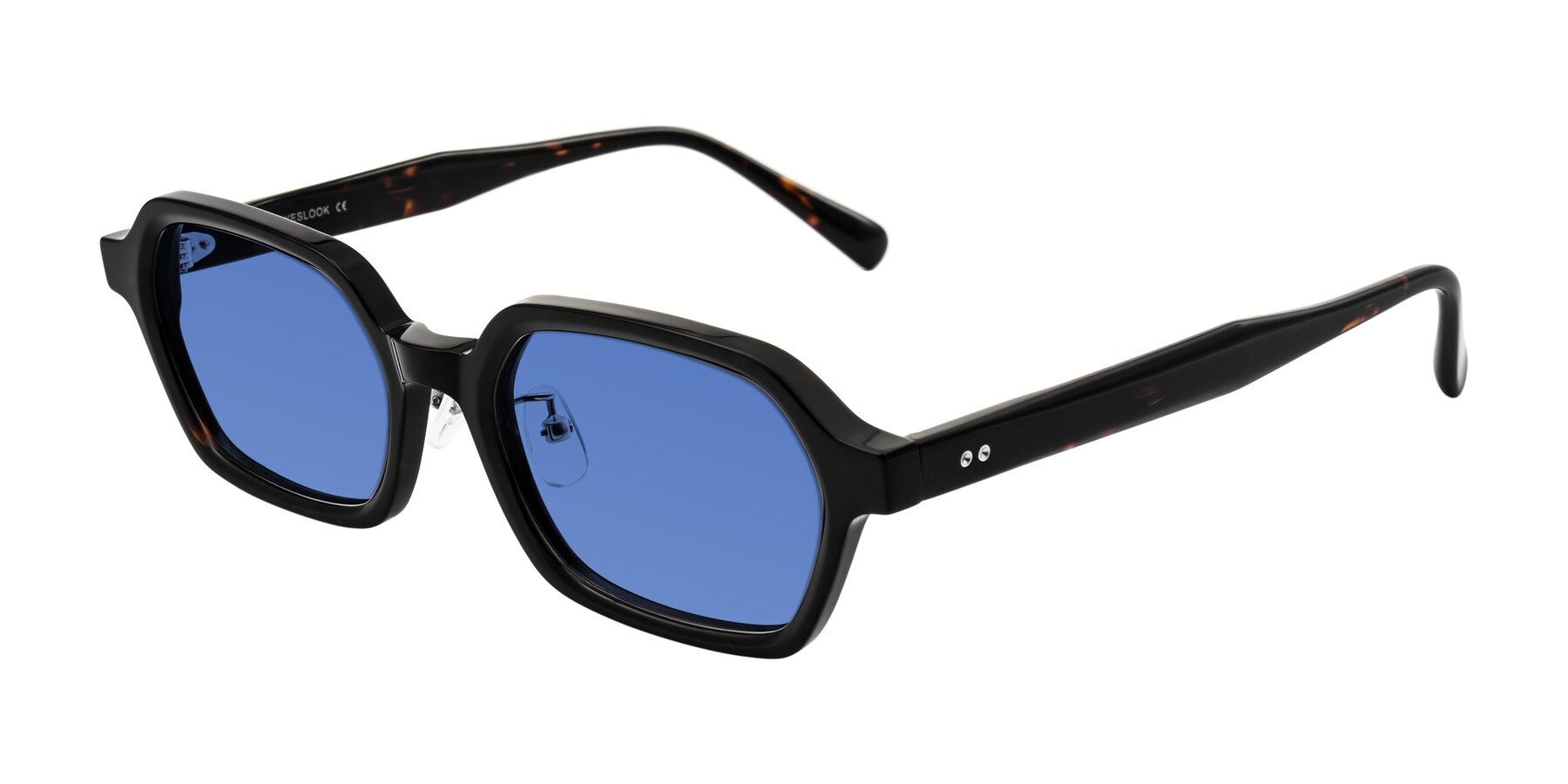 Angle of Hicles in Dark Tortoise with Blue Tinted Lenses