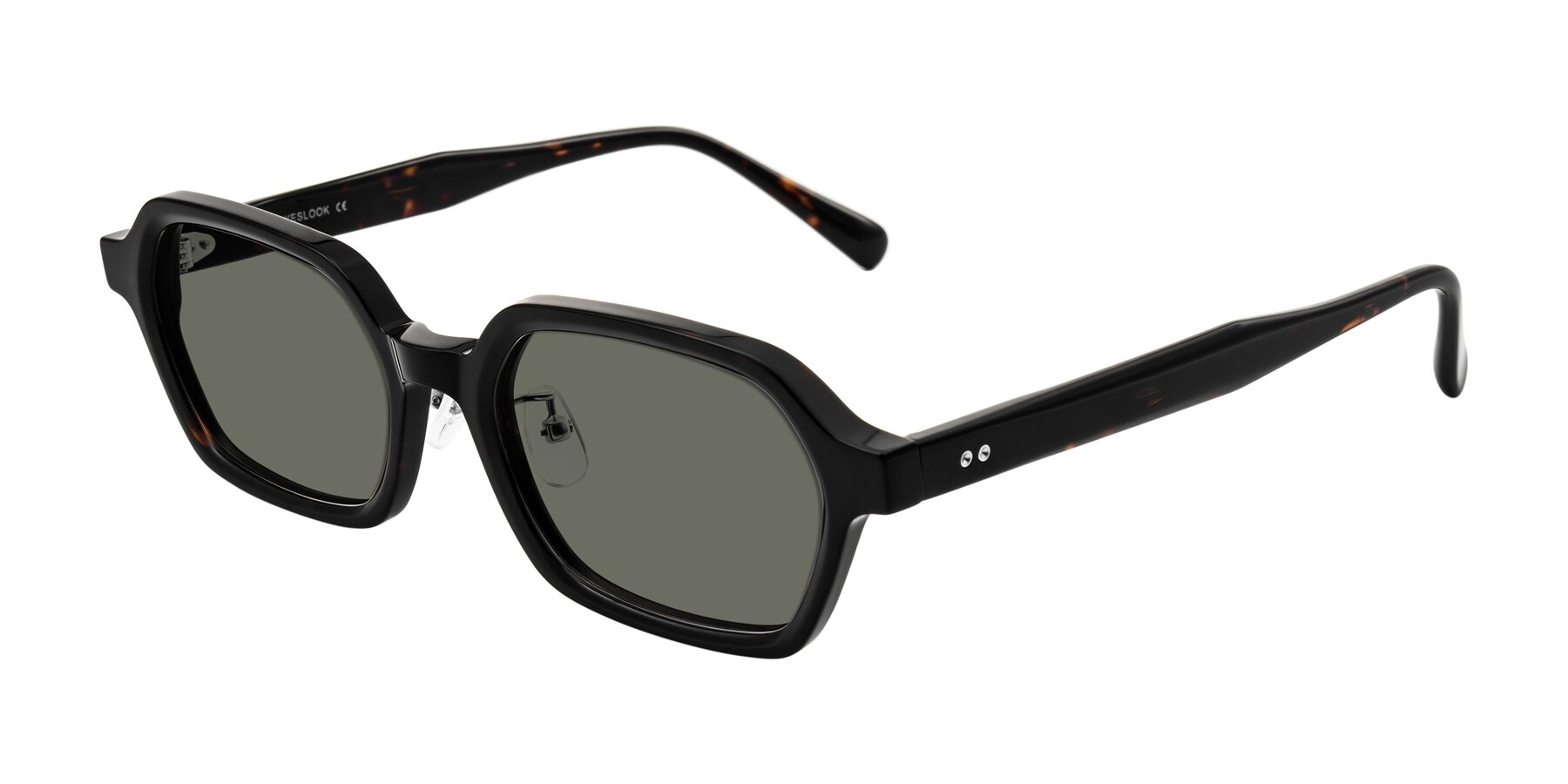Angle of Hicles in Dark Tortoise with Gray Polarized Lenses