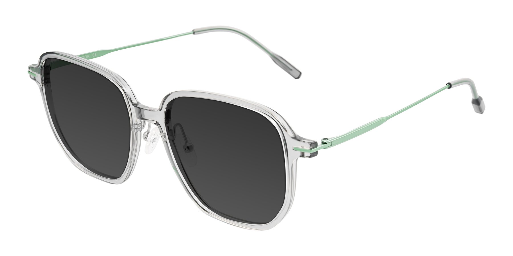 Angle of Tulsah in Transparent Gray with Gray Tinted Lenses