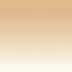 Gradient Light Brown/Clear