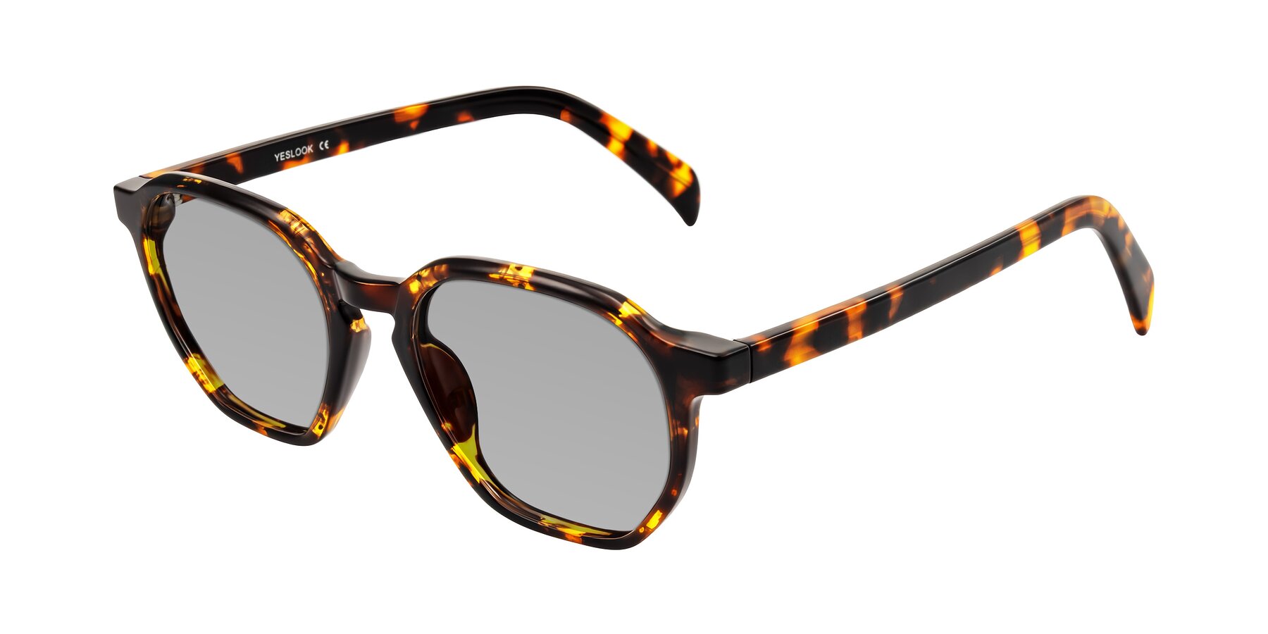 Angle of McKown in Tortise with Light Gray Tinted Lenses