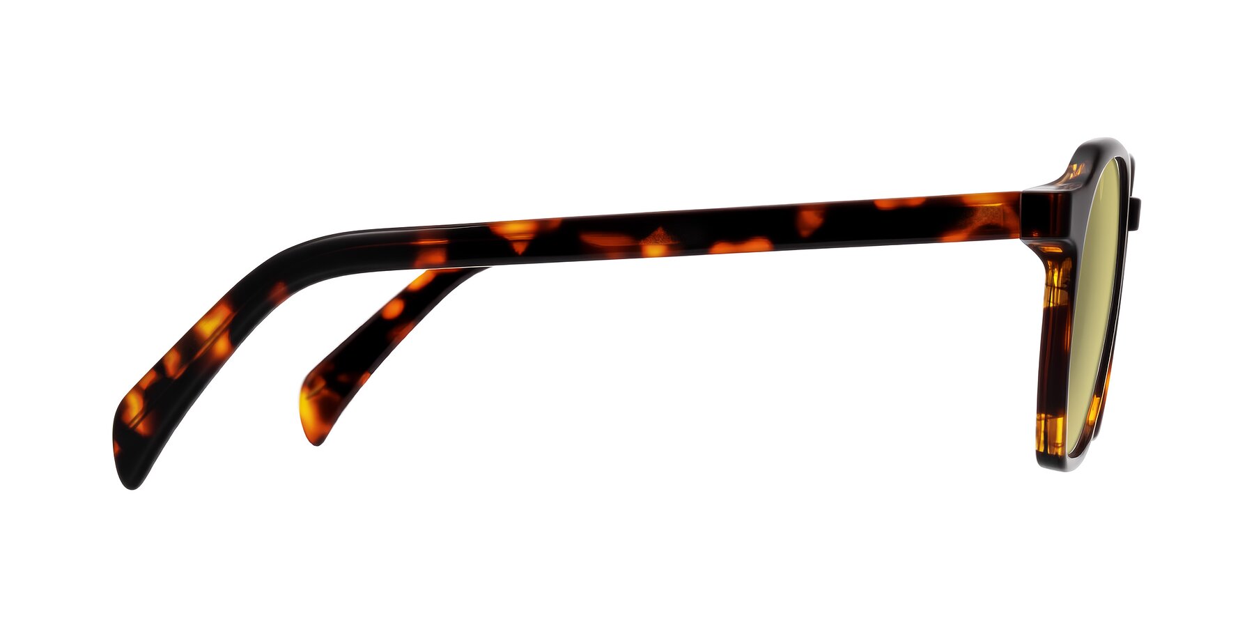 Side of McKown in Tortise with Medium Champagne Tinted Lenses
