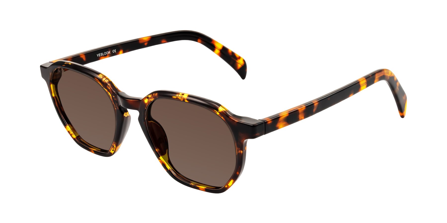 Angle of McKown in Tortise with Brown Tinted Lenses