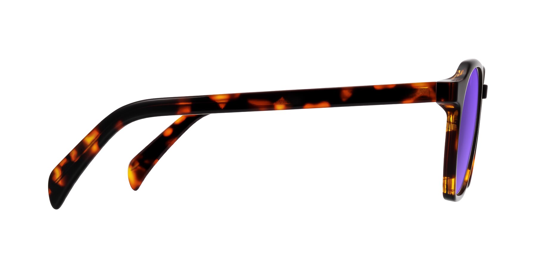Side of McKown in Tortise with Purple Tinted Lenses