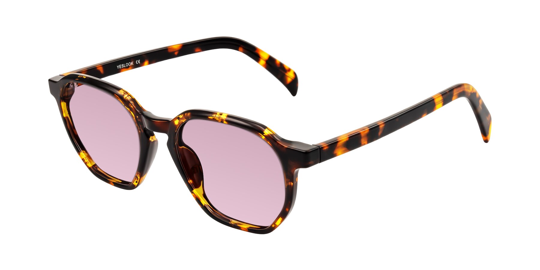 Angle of McKown in Tortise with Light Wine Tinted Lenses