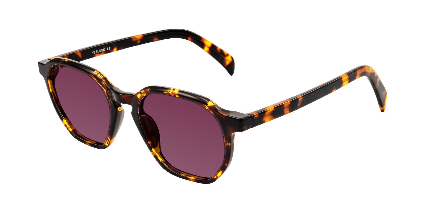 Angle of McKown in Tortise with Wine Tinted Lenses