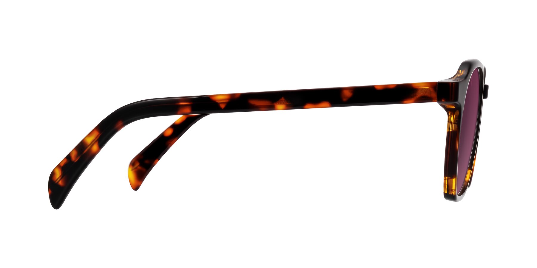 Side of McKown in Tortise with Wine Tinted Lenses