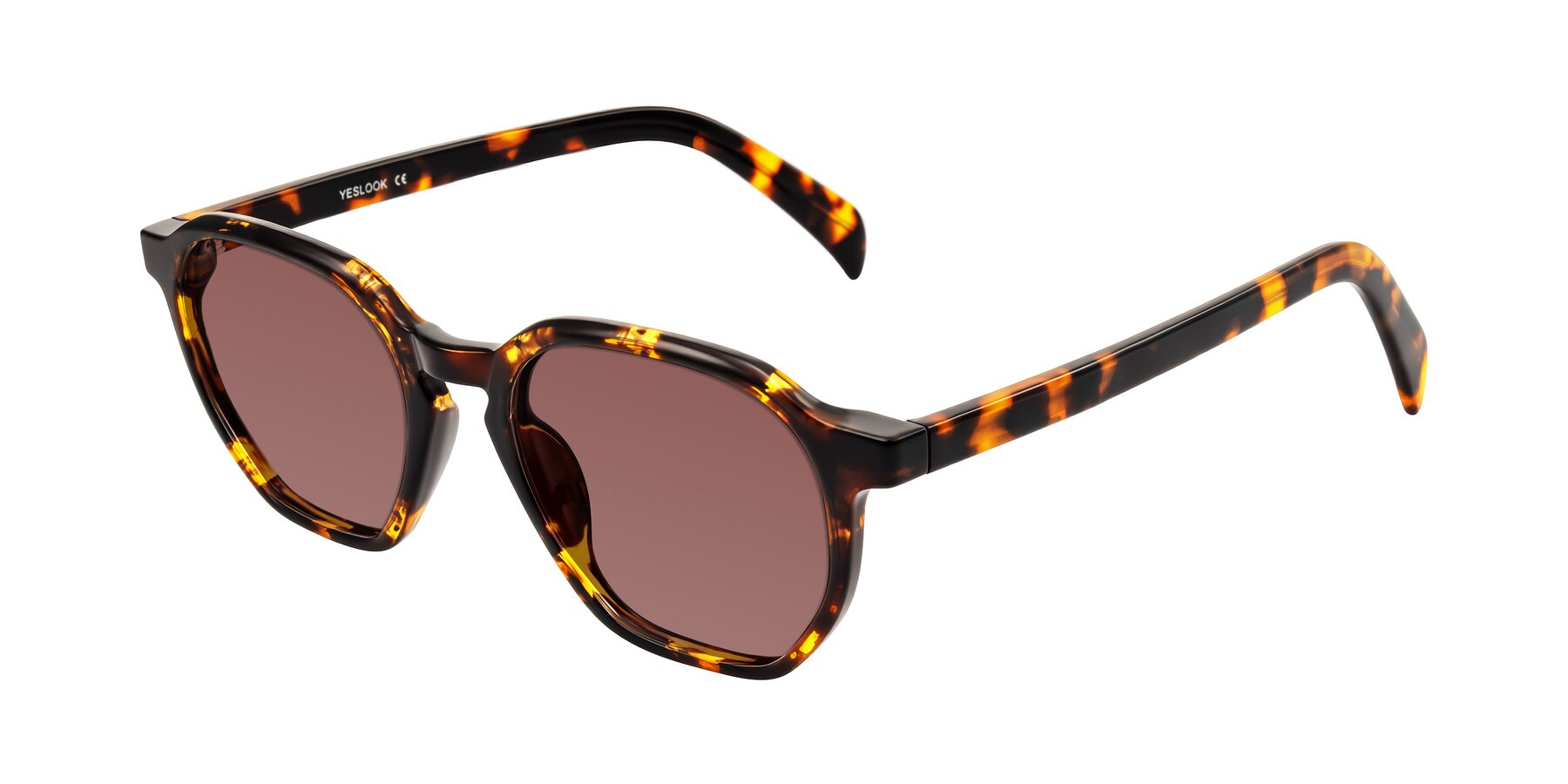Angle of McKown in Tortise with Garnet Tinted Lenses