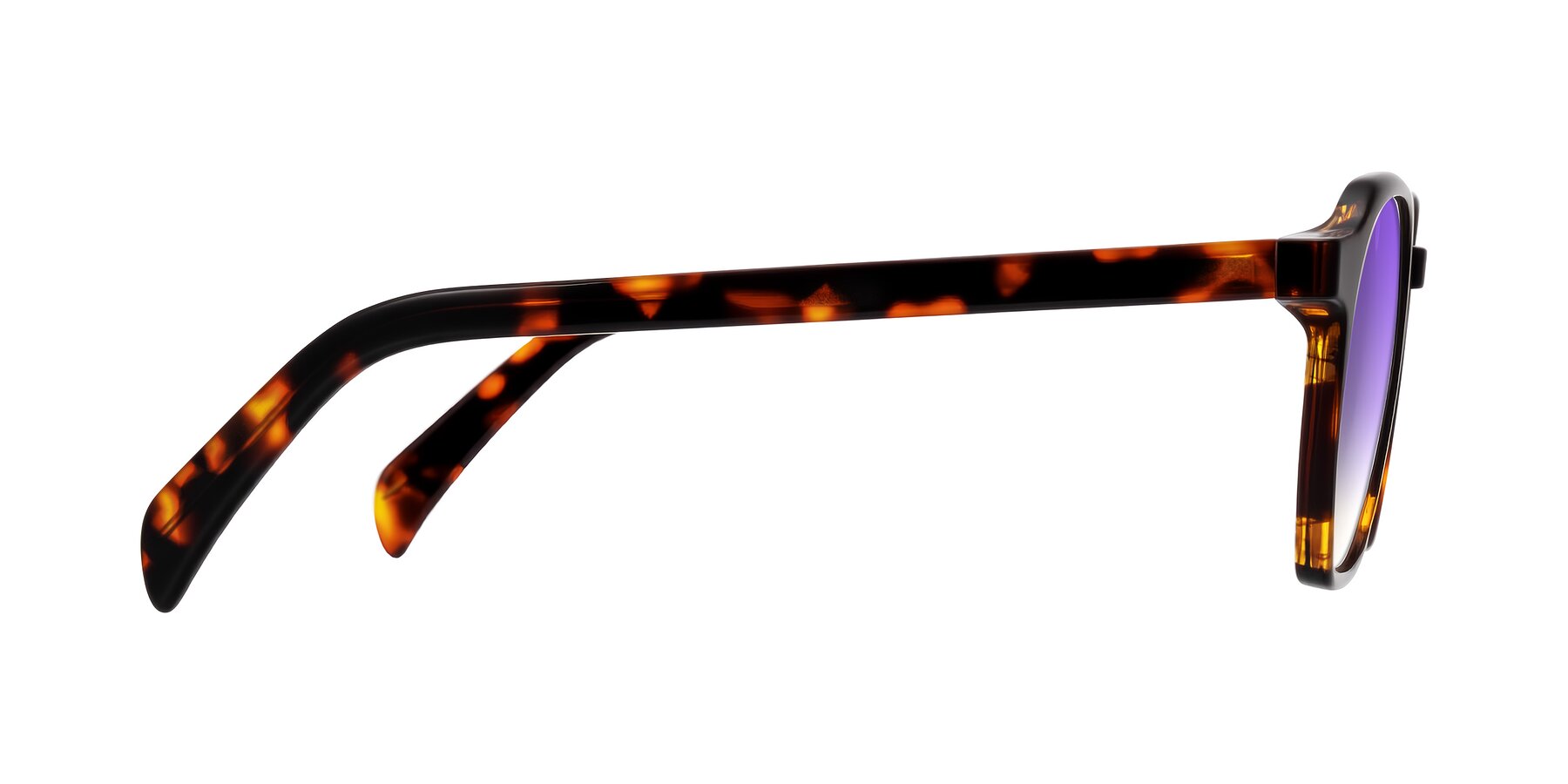 Side of McKown in Tortise with Purple Gradient Lenses