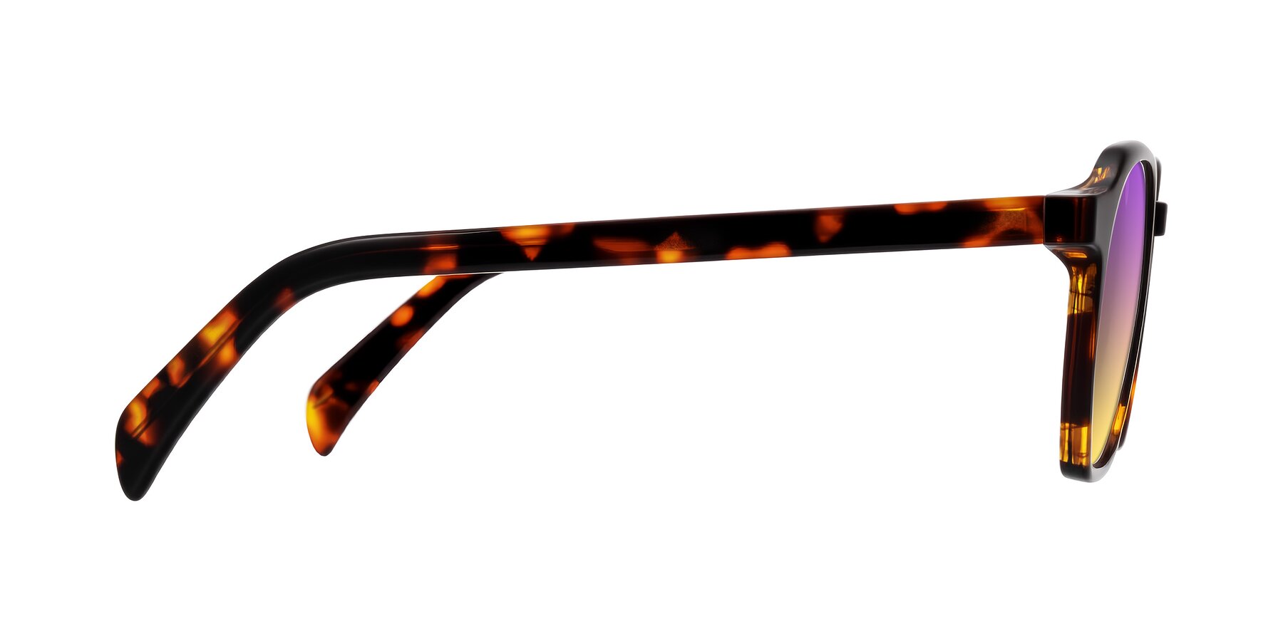 Side of McKown in Tortise with Purple / Yellow Gradient Lenses