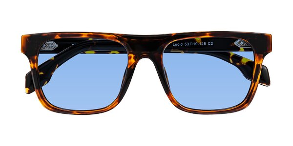 Front of Lucid in Tortoise