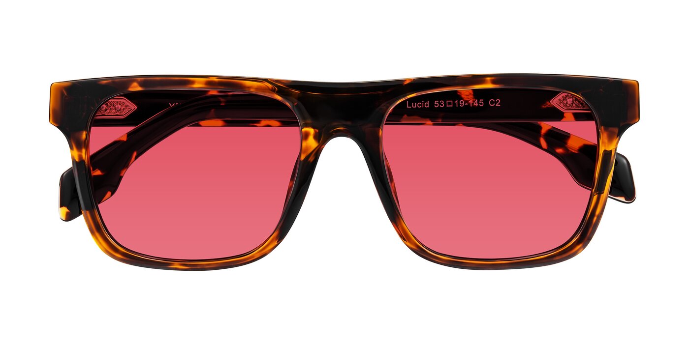 Lucid - Tortoise Tinted Sunglasses