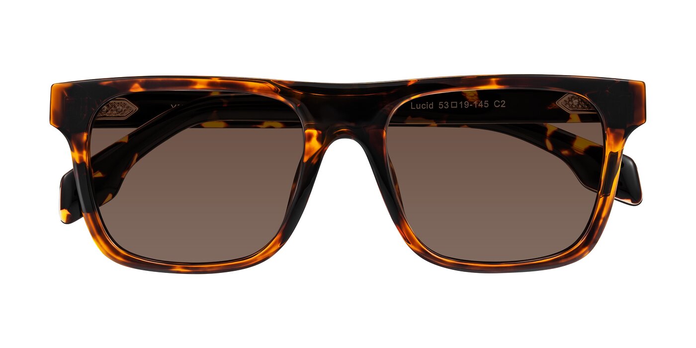 Lucid - Tortoise Tinted Sunglasses