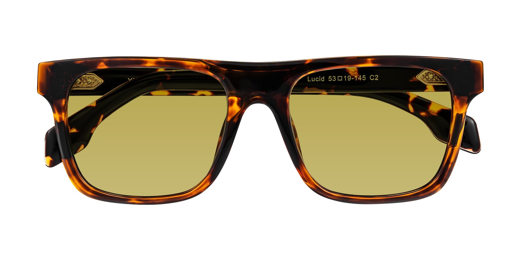 Folded Front of Lucid in Tortoise with Champagne Tinted Lenses