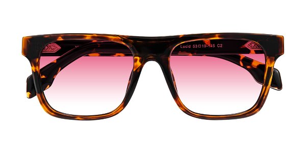 Front of Lucid in Tortoise