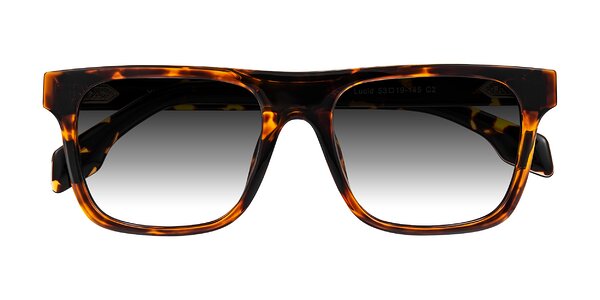 Front of Lucid in Tortoise